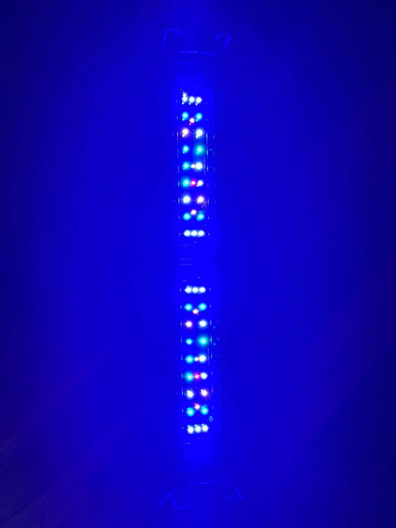 ボルクスジャパン Grassy Wing2 マリン 60センチ 魚用品・水草