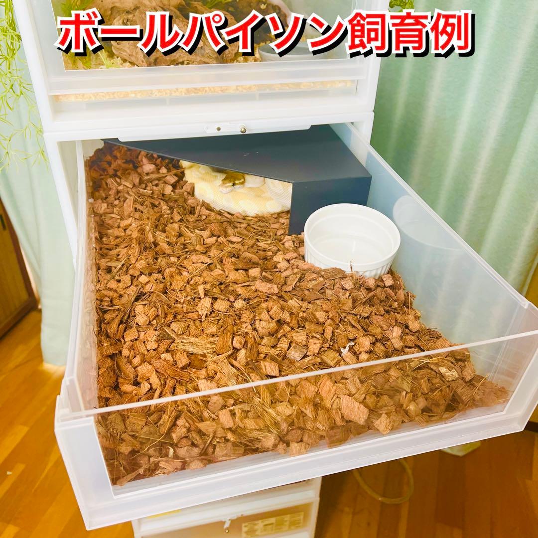 新ボールパイソンケージ2個セット 新ボールパイソンケージ 2個セット