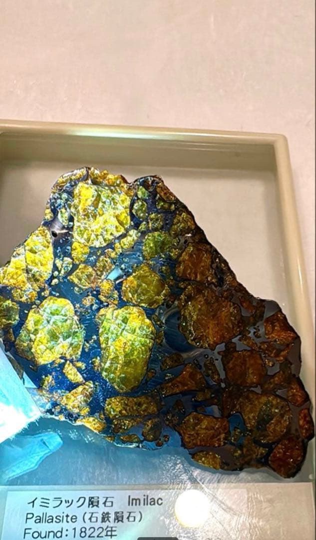 存在感が段違い】28.0g イミラックパラサイト隕石標本（東京サイエンス