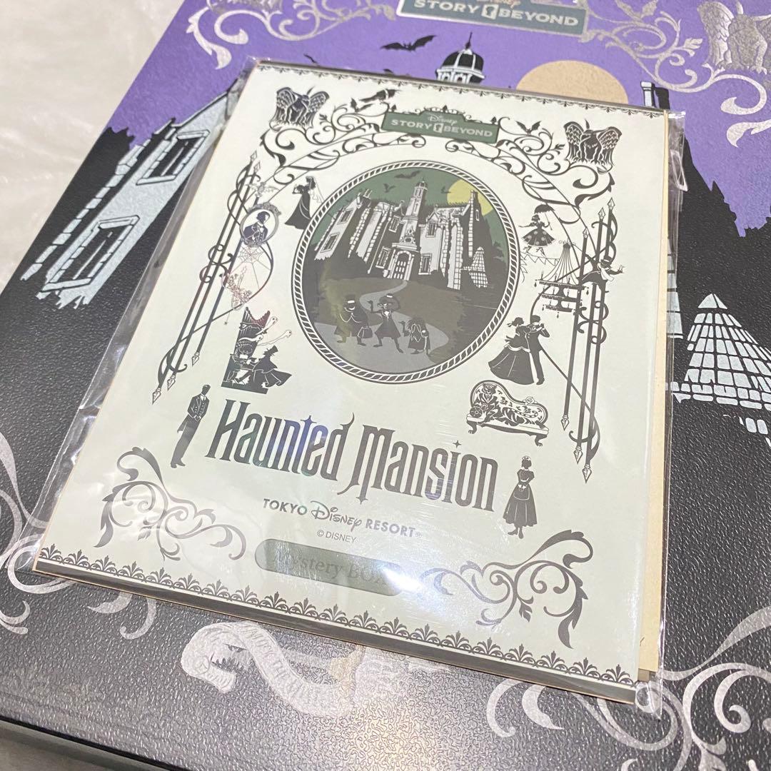 ディズニーランド ストーリービヨンド ホーンテッドマンション ミステリーボックス