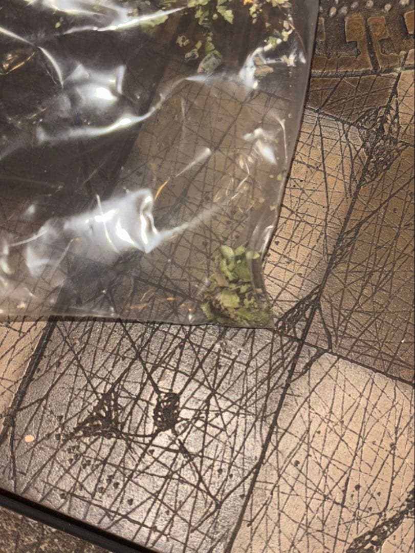 新品！Aliens vs PredatorエイリアンプレデターチェスSOTA