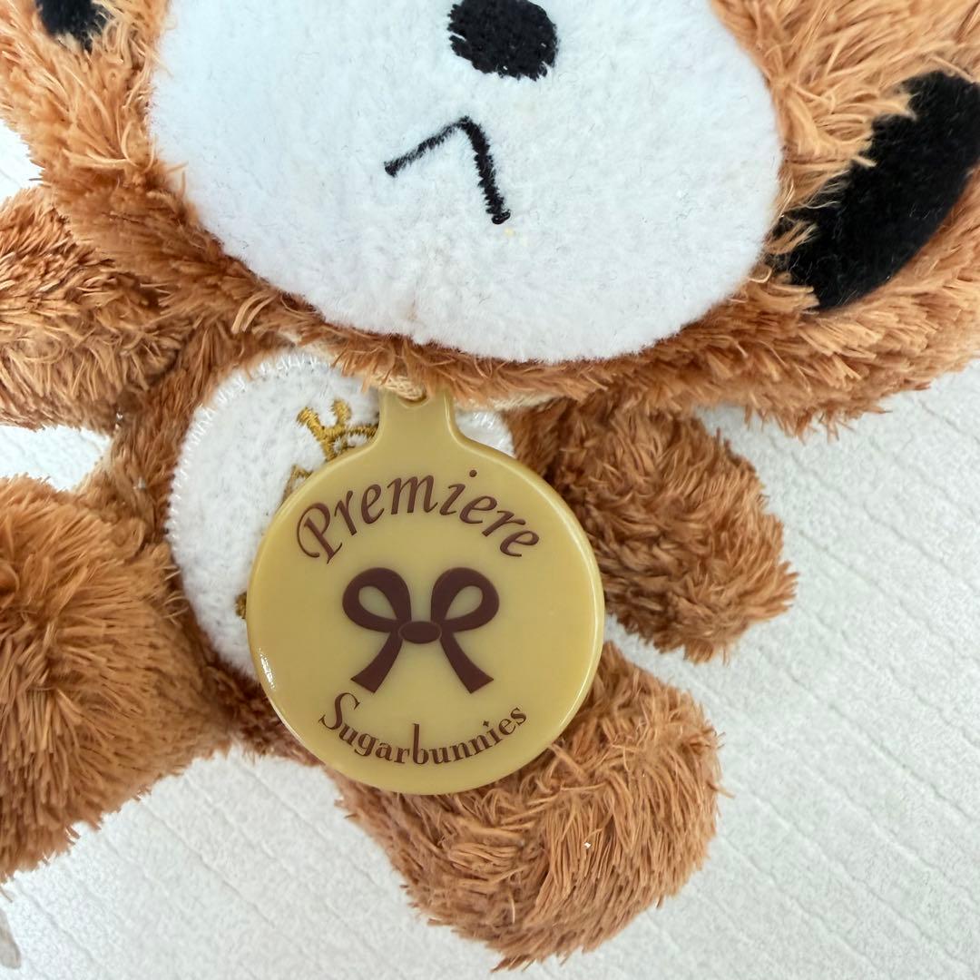 シュガーバニーズ　くろうさ　ぬいぐるみ　ミドルサイズデビュー記念ぬいぐるみ　レア