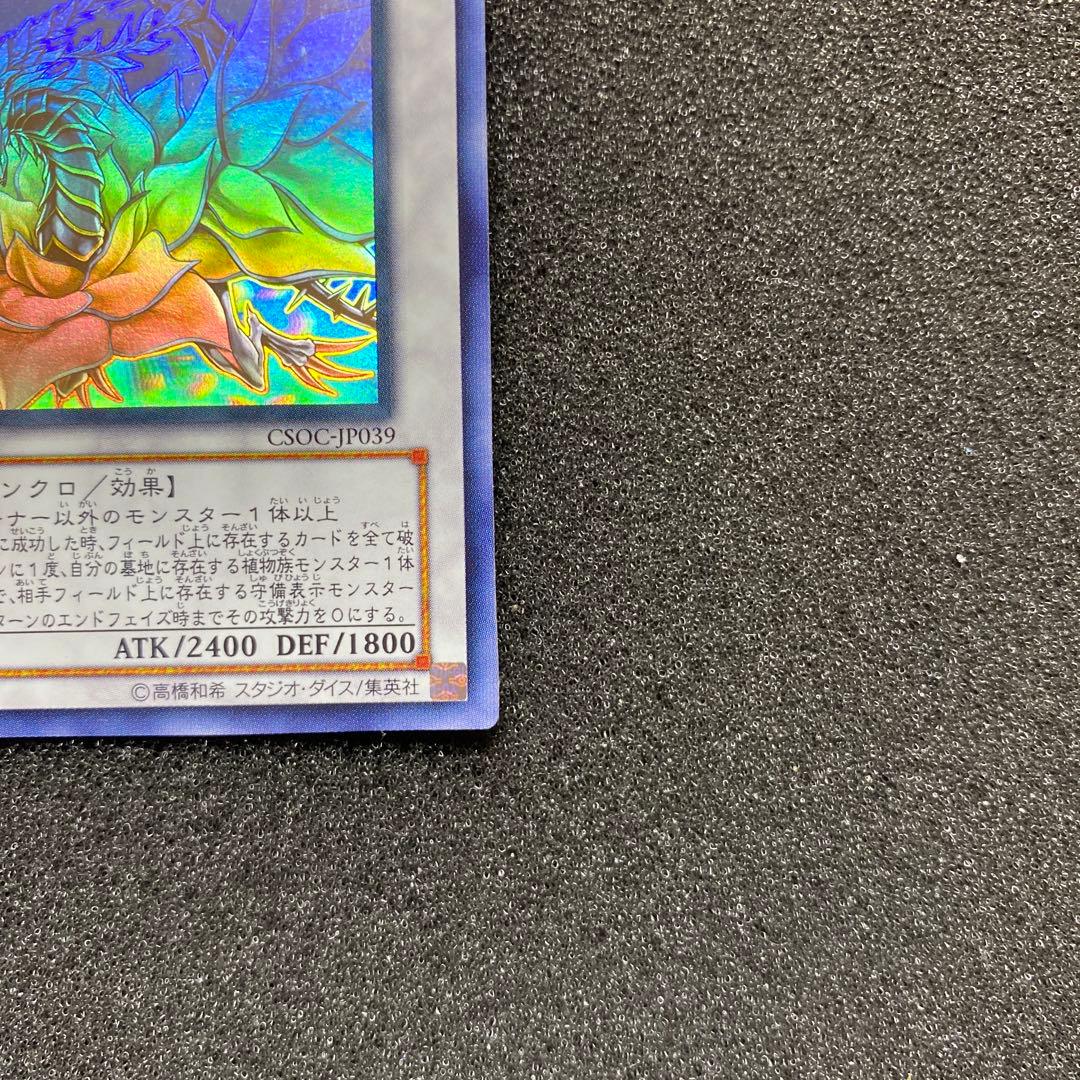 【極美品】　遊戯王　ブラック・ローズ・ドラゴン　ホロ　ホログラフィック　②