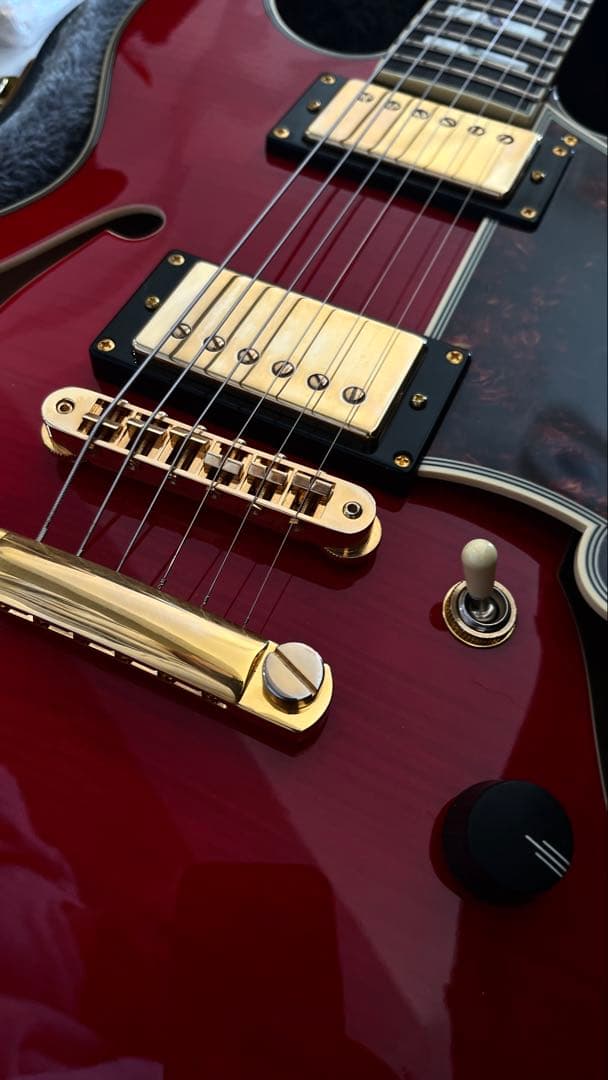 上位仕様 D'Angelico Excel Mini DC Duncan 59 Excel Mini DC Trans