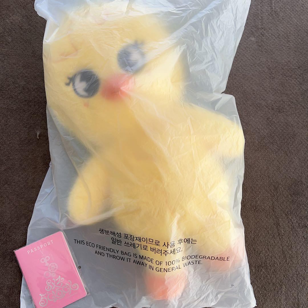 Stray Kids SKZOO PLUSH テディベア Ver.ポガリ - メルカリ