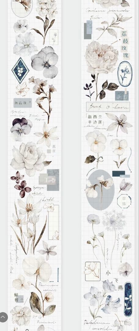 《在庫処分最終値下げ》海外 マスキングテープ雀斑茶 6点⚠️pet（33.324