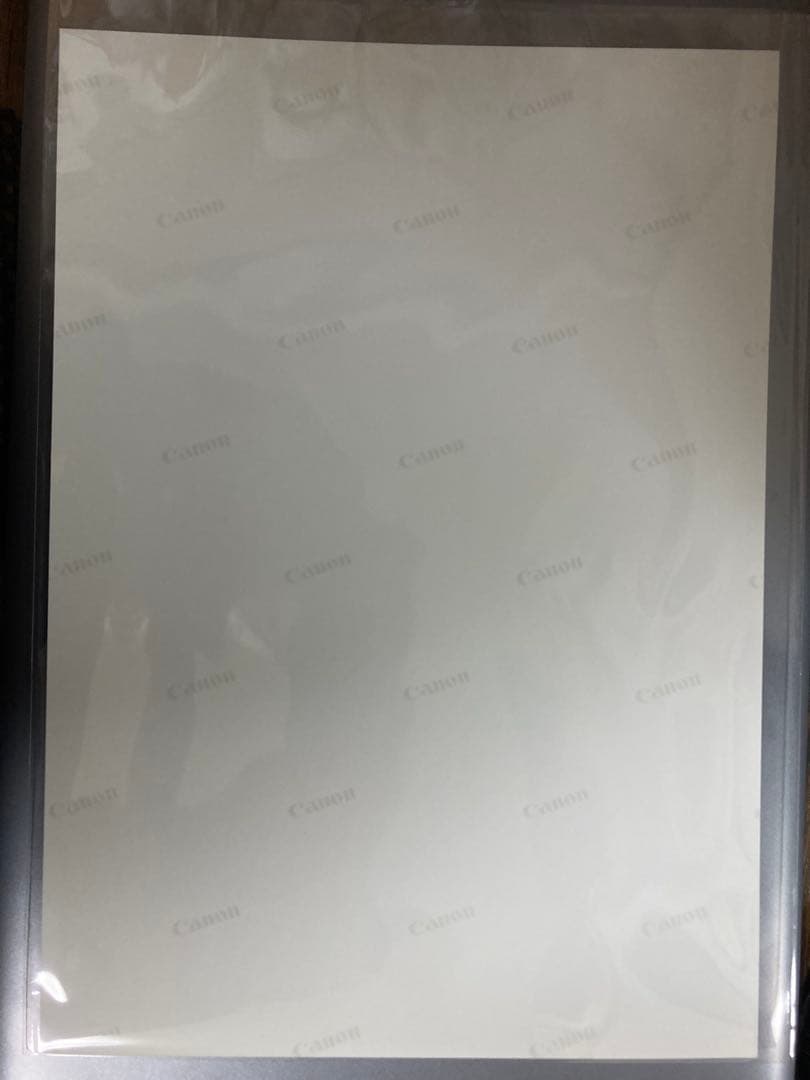 桜田淳子 A4サイズ 光沢写真