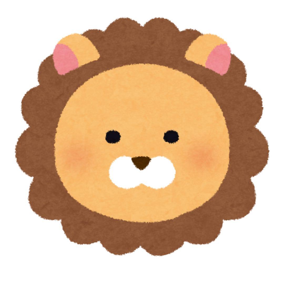 Sky 星を紡ぐ子どもたち つながりのボックス 雨林 開封済み おまけあり