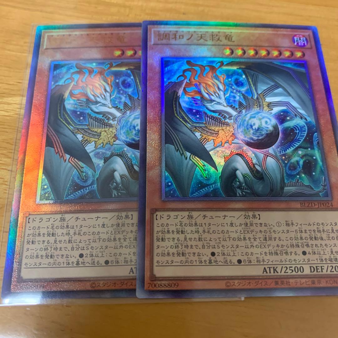 調和ノ天救竜 ハルモニア レリーフ 2枚 - メルカリ