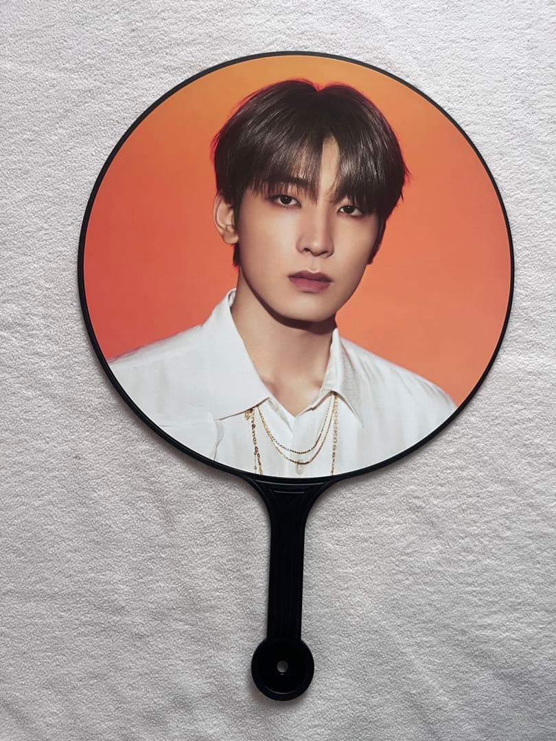 SEVENTEEN ウォヌ うちわ BE THE SUN SEVENTEEN WONWOO World Tour BE