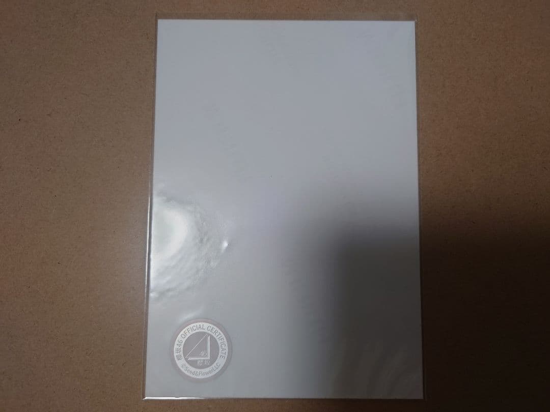 元櫻坂46 土生瑞穂 「2nd TOUR 2022」青衣装 直筆生写真