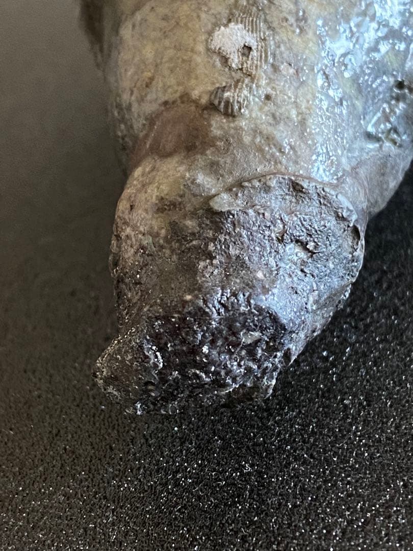 信楽焼 掛花入 井村侊生 #3411