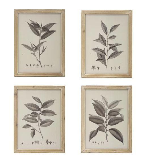 額絵 植物 アートフレーム 4枚セット ボタニカル ナチュラル AN-80196