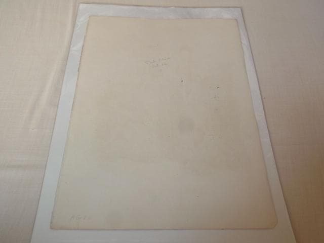 1879年銅版画◇フランス ファッション誌『ラ・モード・イリュストレ』No.33