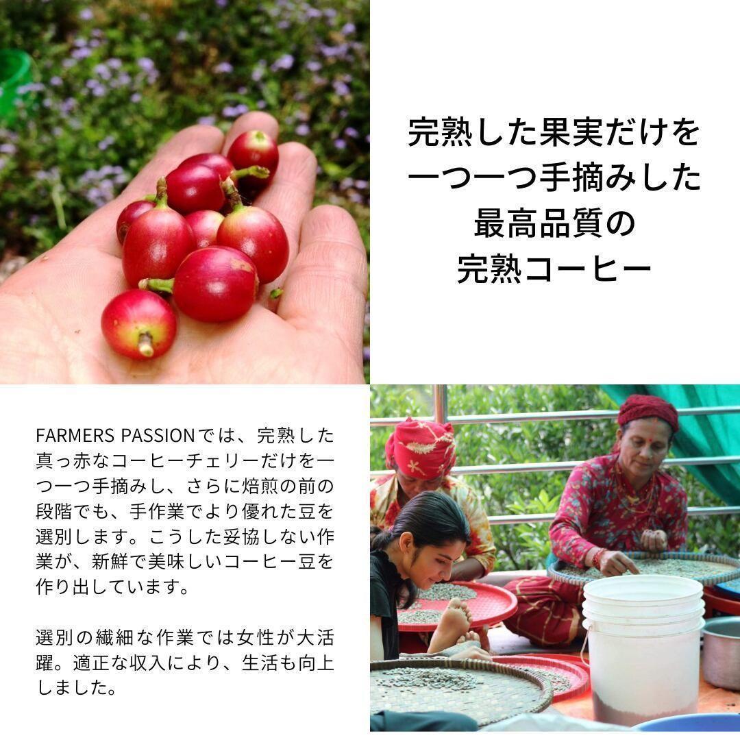 ○オーガニックコーヒー アメリカン フェアトレード 1kg コーヒー豆