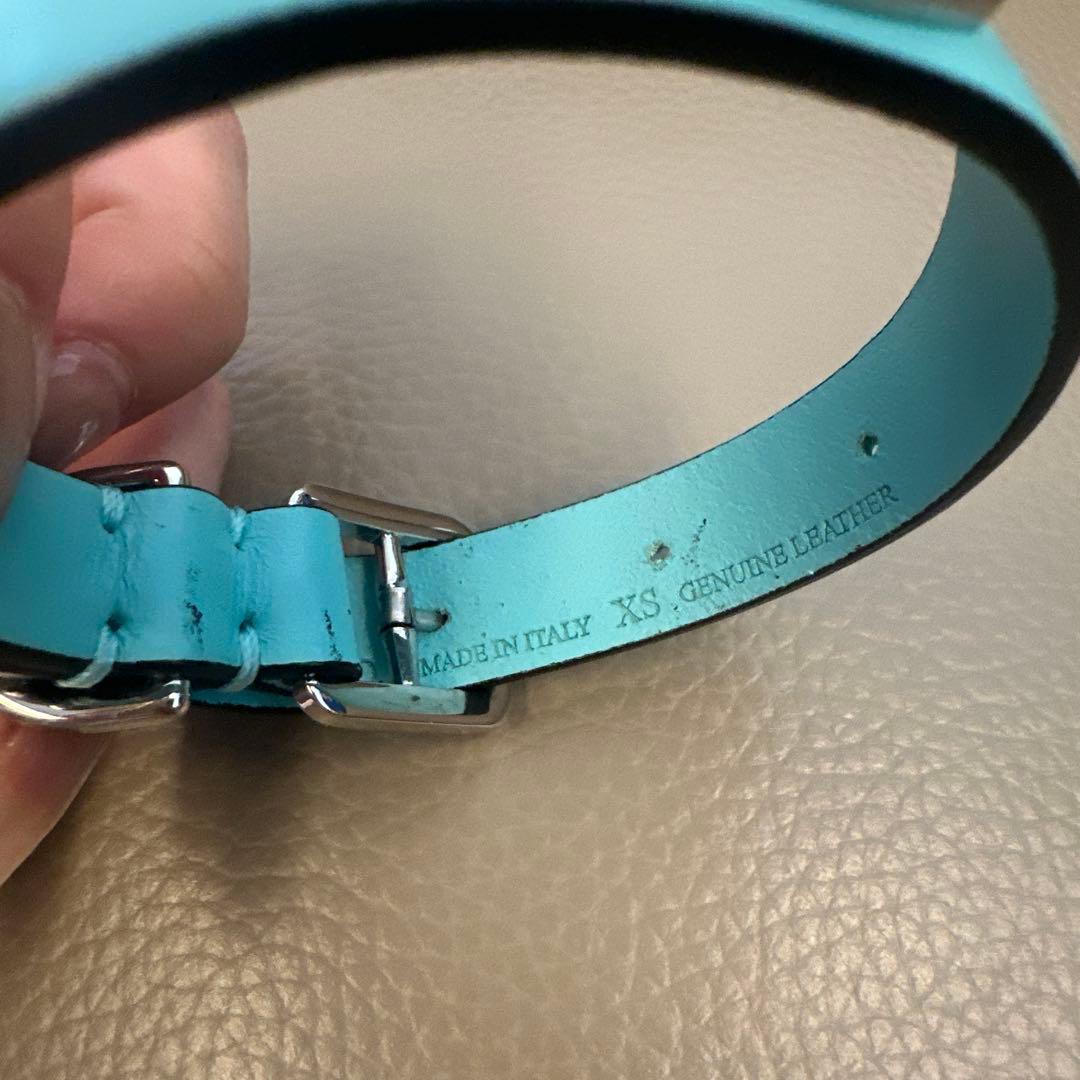 Tiffany & Co. ターコイズブルー レザー首輪｜Tiffany & Co. 水色