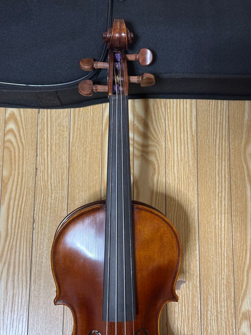 Amore ヴァイオリ