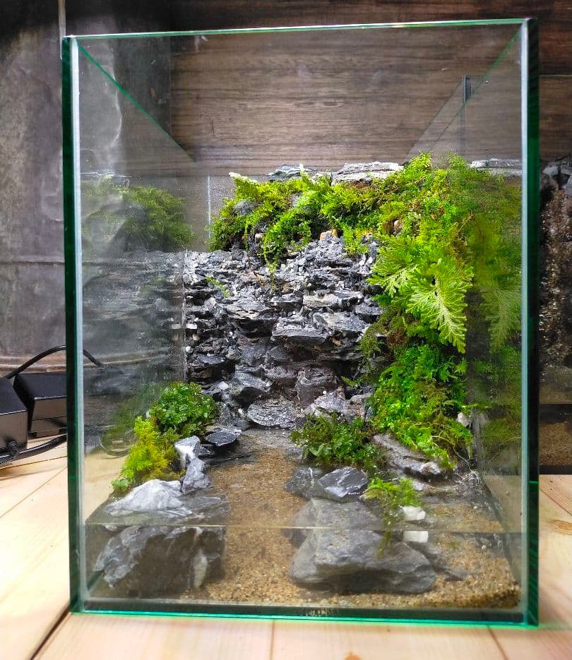 アクアテラリウム完成品】滝のあるテラリウム パルダリウム アクアリウム