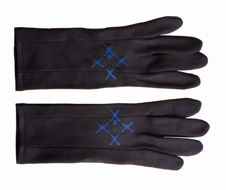 Sound Sports トレーニンググローブ L