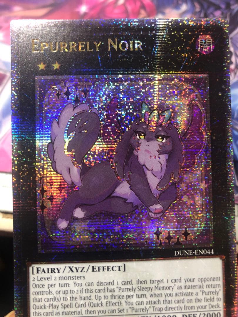 遊戯王 ヴァルモニカ・シェルタ 泰亜 アジア英語 25th クォシク