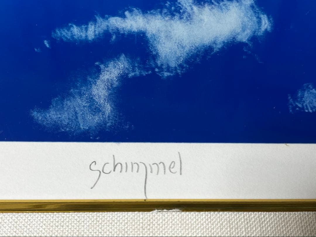 希少価値の黒豹】シムシメール 「未来を探し求めて」美品 ジークレー