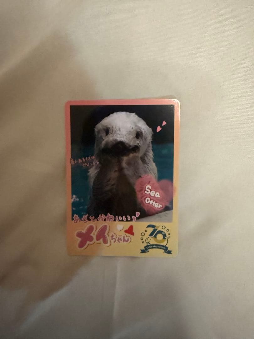 鳥羽水族館 コレクションカード メイ - メルカリ