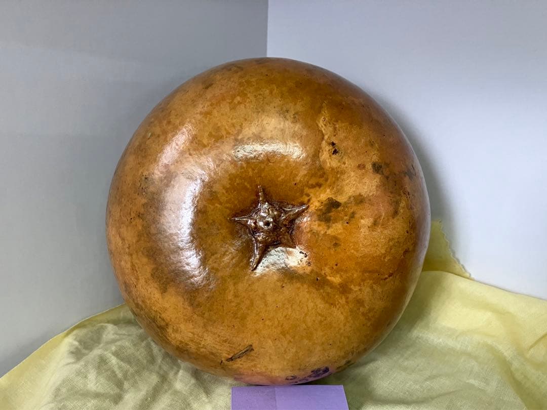 中村宗悦 玄々斎好写 瓢菓子器 共箱共布