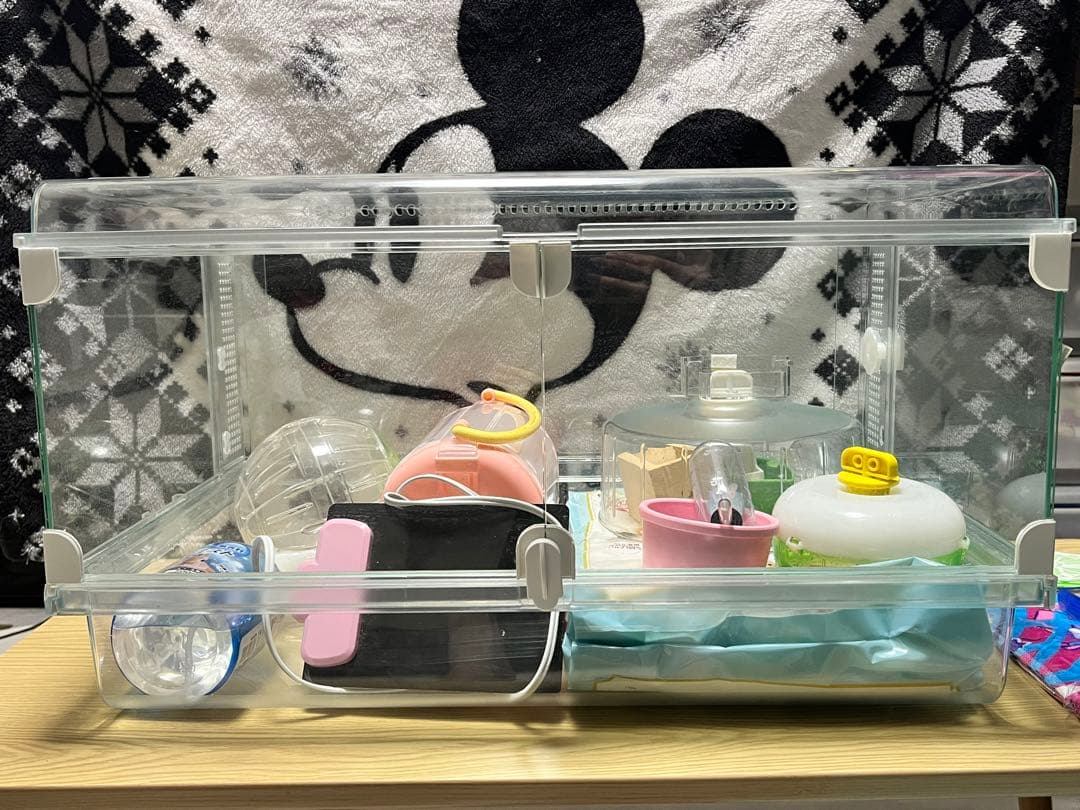 ハリネズミ飼育セット (神奈川付近であれば近くまでお届けも可能です