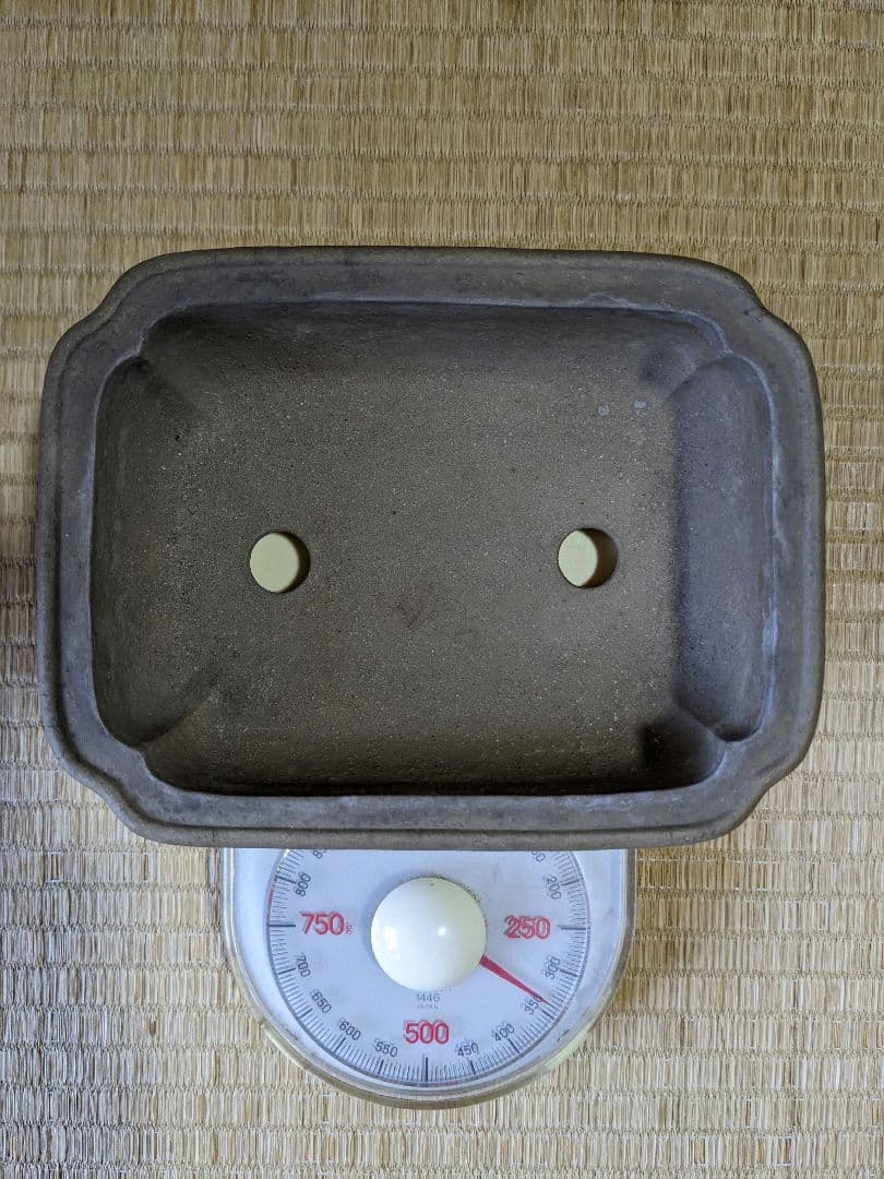 ♢中国？宜興窯 梨地 隅切り長方形ミニ盆栽鉢 小品盆栽鉢 古美術