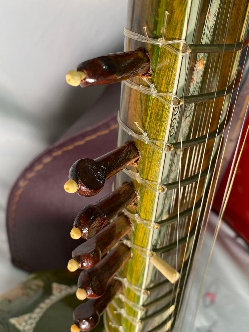 2470❣️ シータル　インド楽器