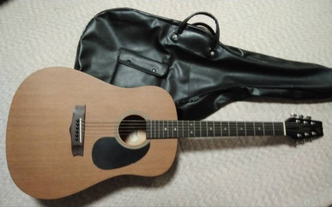 Vantage VIS-1 アコースティックギター メンテナンス済 - メルカリ