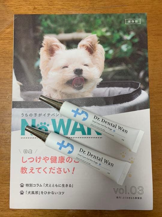 ドクターデンタルワン 30g × 2本