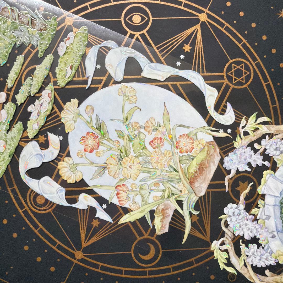 8955】海外 マステ 中古巻 貝殻光マスキングテープ 背景系