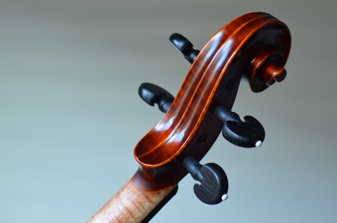 【新品】Gliga Cristian Maestro 4/4 そうちゃん