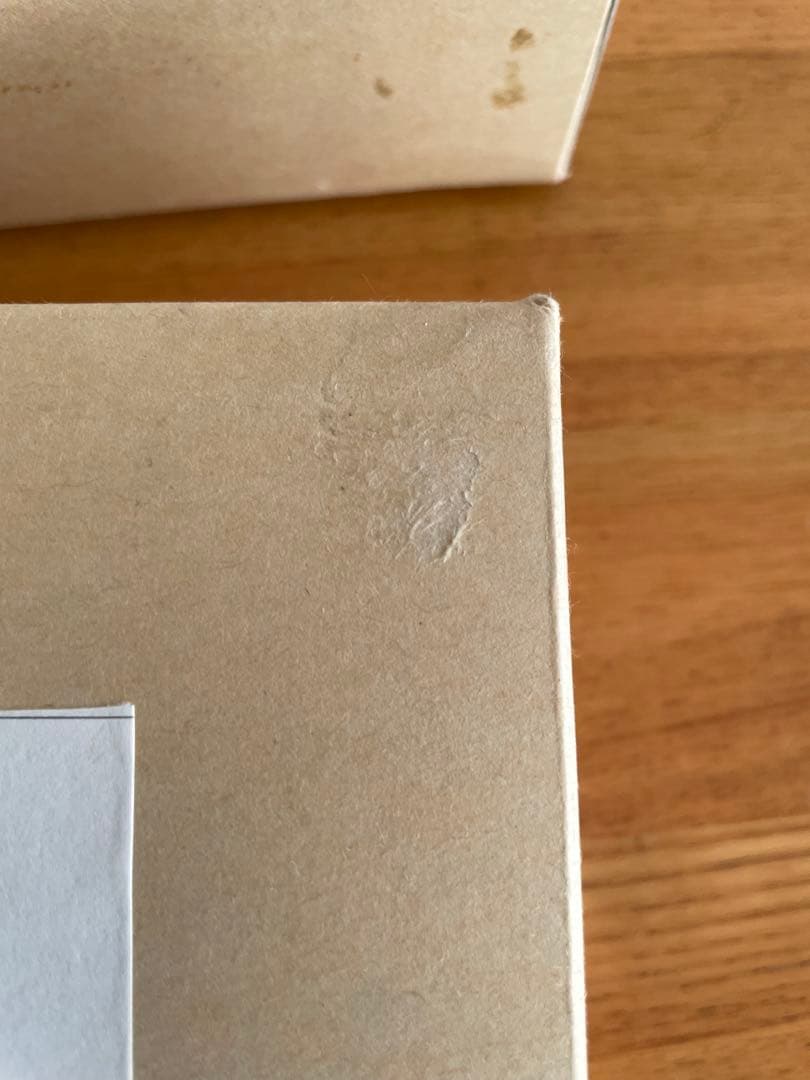 よいこQ ゴーダンナー　ガレージキット　2種　藤原静流　葵霧子