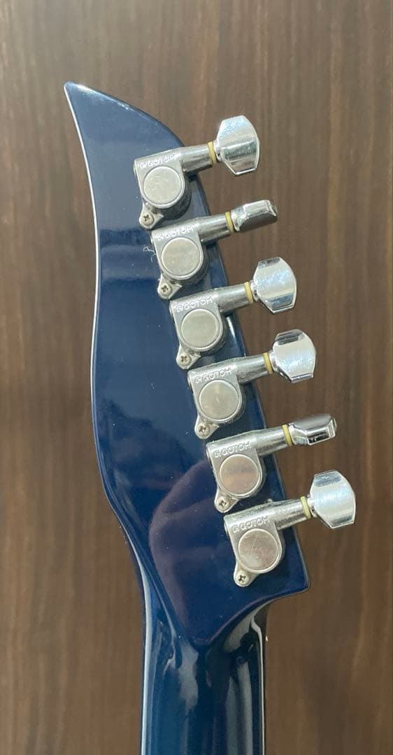 TOKAI タルボ　三鷹楽器購入品　ピックアップカスタム