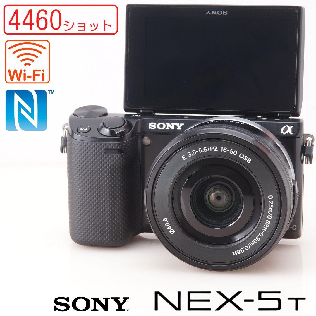 アマミマルバネ（徳之島）♂57ミリ針穴あり