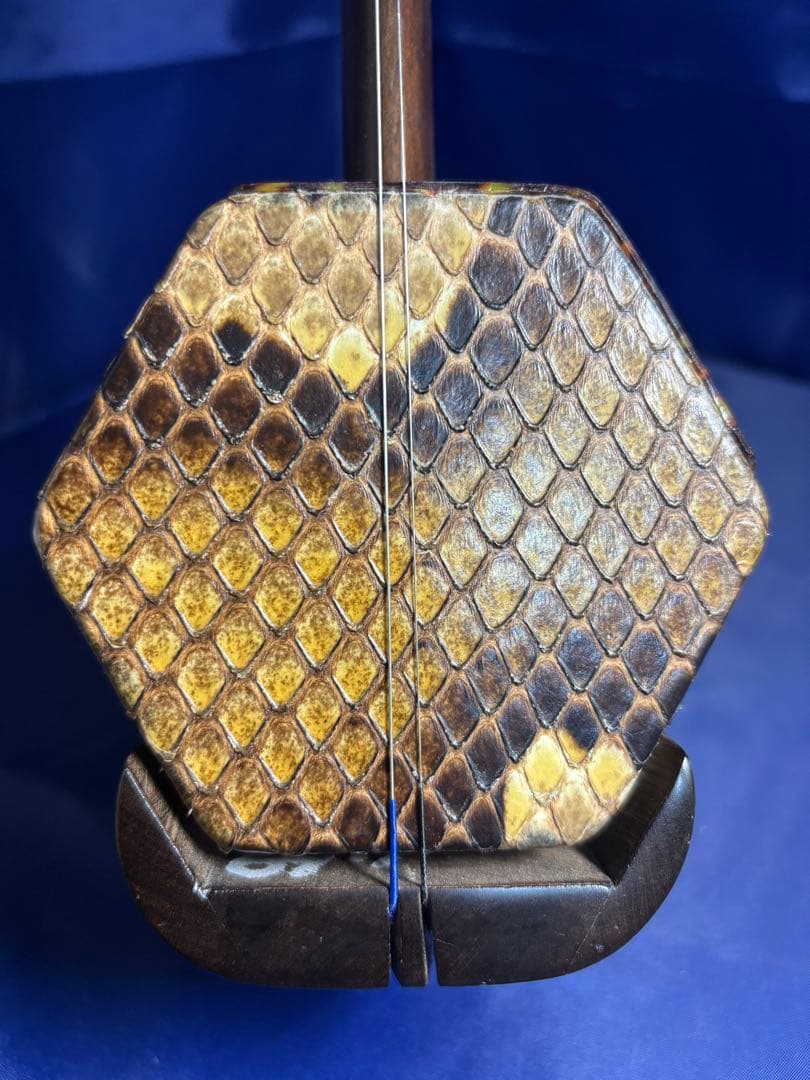 蘇州二胡（無名） 二胡#012