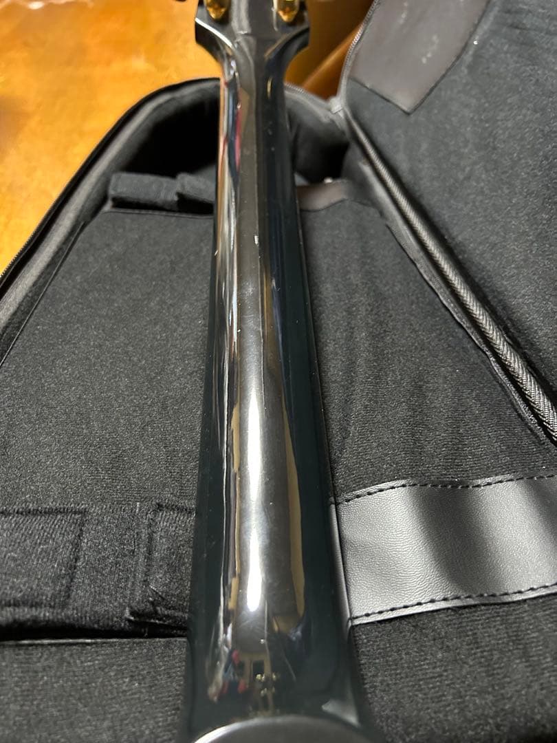 Epiphone Les Paul Custom LQフジゲン