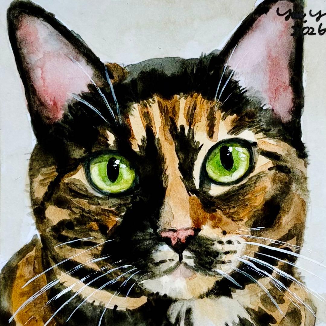 猫の絵 401水彩画 原画 ミニ色紙 豆色紙 サビ猫 - メルカリ