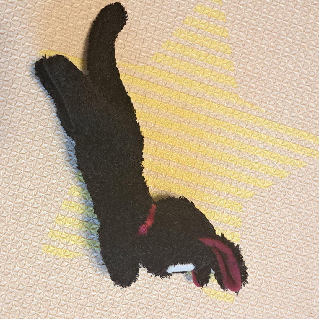 魔女の宅急便　ジジ　ぬいぐるみ リボン付き　黒猫　キャラクター　スタジオジブリ