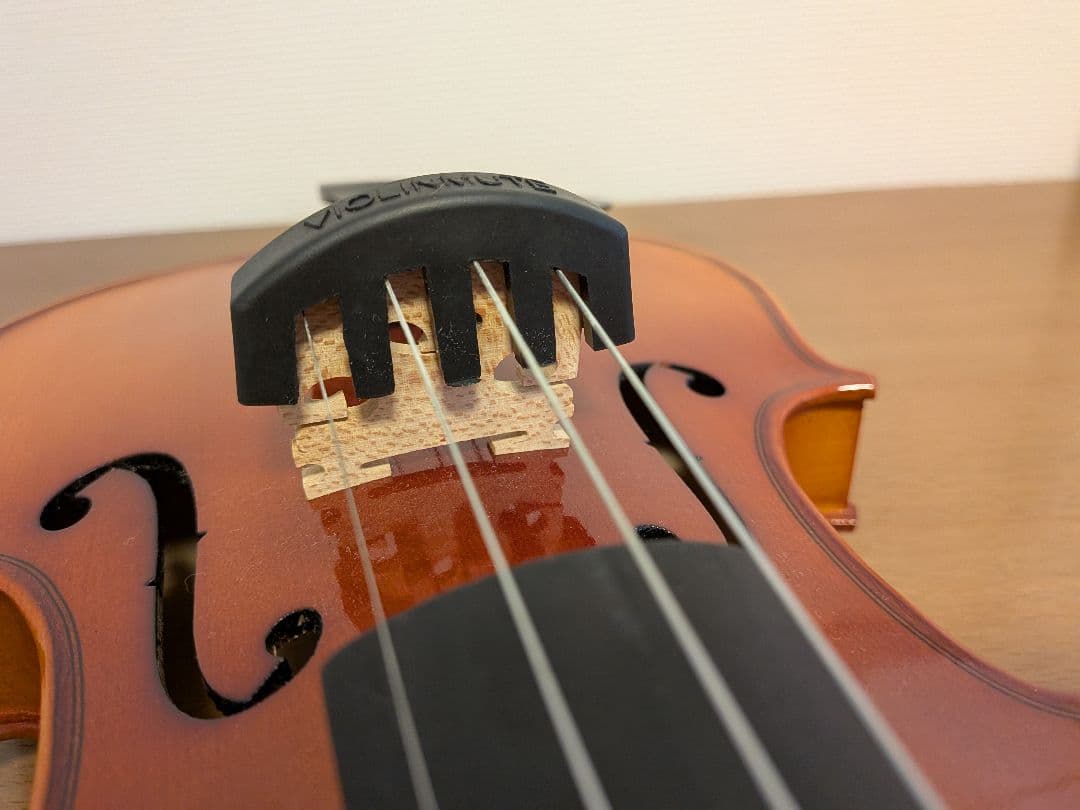 SUZUKIバイオリンNS20 4/4 (本体、弓、ケース、その他付属品6点)