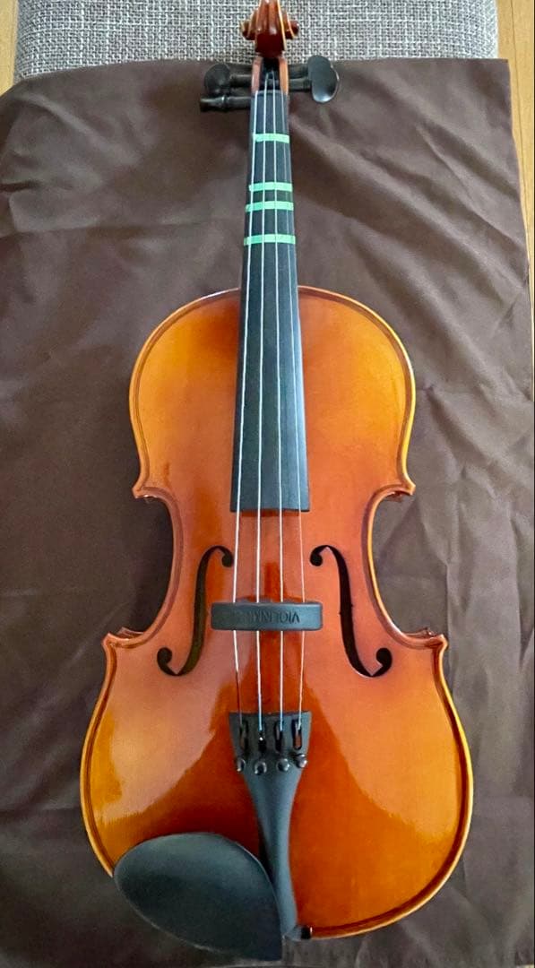 SUZUKIバイオリンNS20 4/4 (本体、弓、ケース、その他付属品6点)