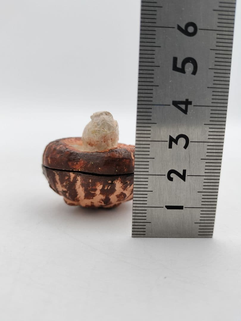 b120 【新品・未使用】香合 乾漆 椎茸 畦地粒表 多喜翁 木箱 茶道具 風炉