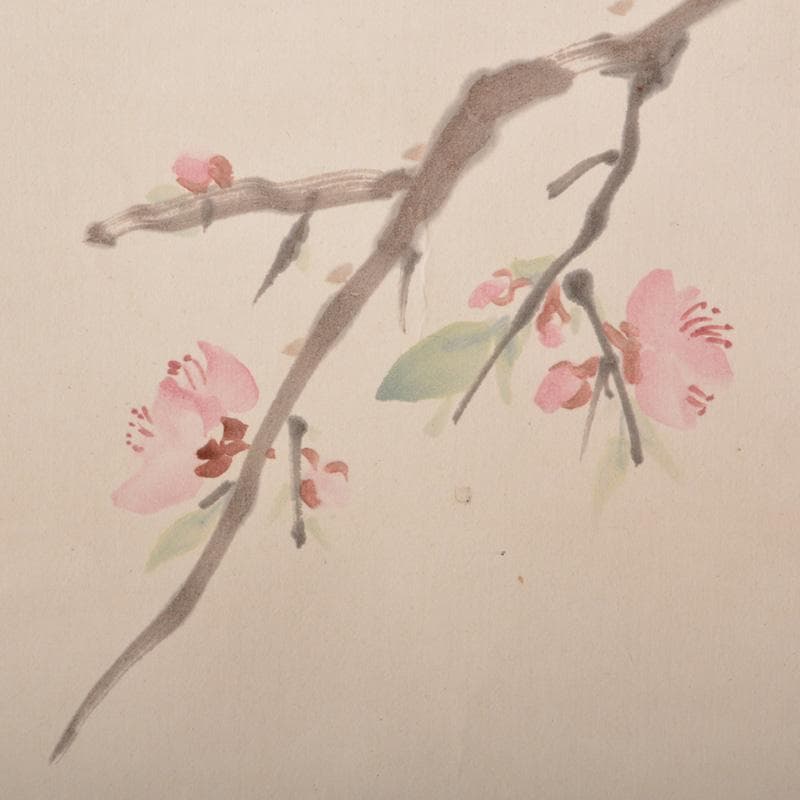 掛軸 水田竹圃作 梅木に鳥図 桐箱付 C 6318A