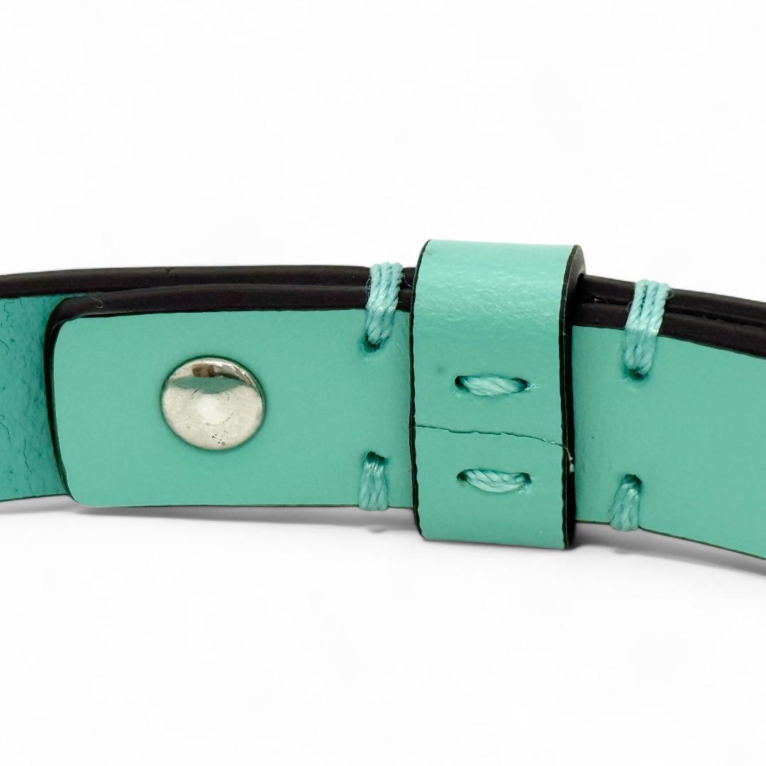 K5455 Tiffany ティファニー リード ペットリーシュ 犬 首輪 箱 - メルカリ