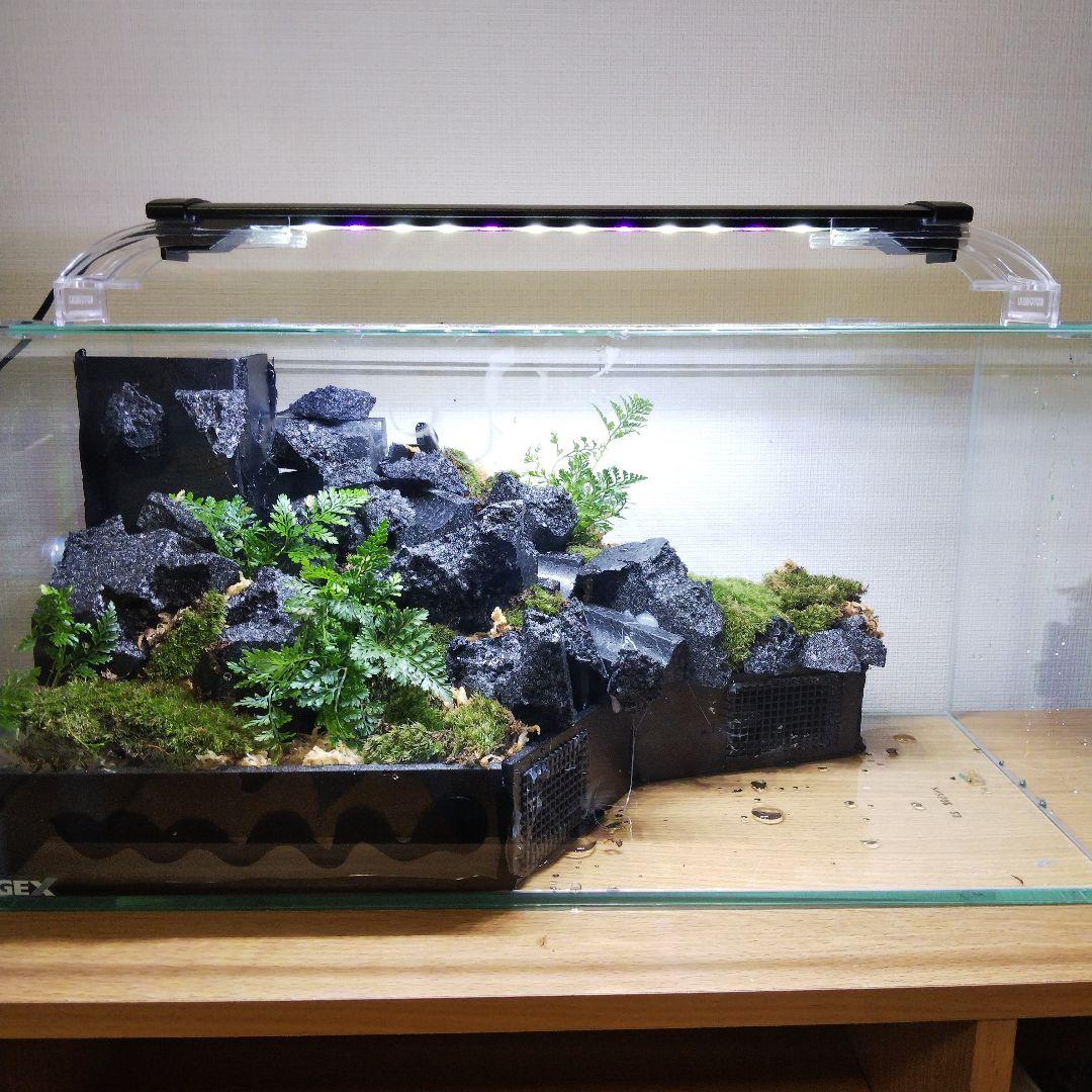 受注生産】滝の流れるアクアテラリウム イモリウム 苔 水槽 苔