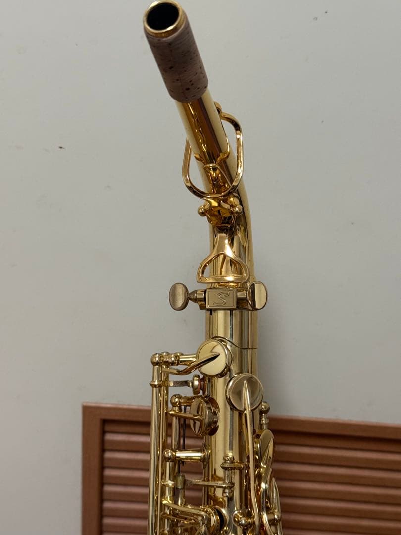 アルトサックスA2000GPシルフィード（シャイニーケース付き） 管楽器