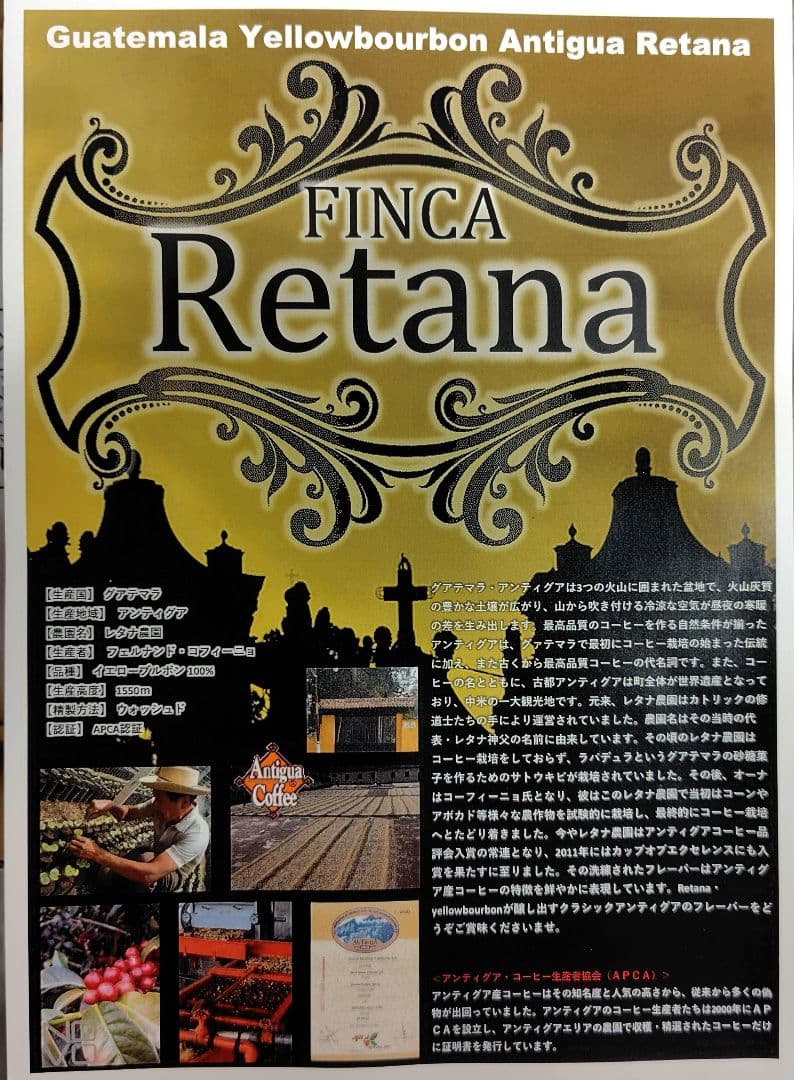 コーヒー生豆（グアテマラ·エチオピア） 2種セット