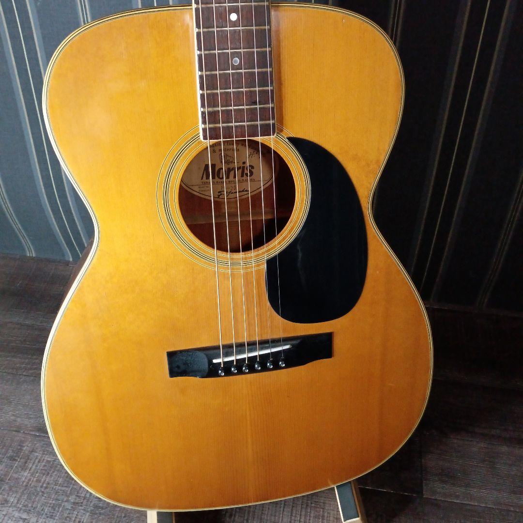 常田大希使用モデル morrisアコギ F-20 ギター KingGnu - メルカリ